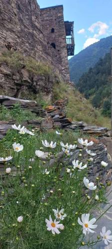 a field of white flowers in front of a castle at Hotel Front Castle in Shatili