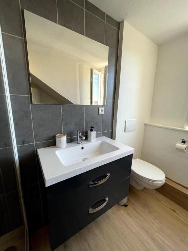 une salle de bain avec un lavabo, des toilettes et un miroir dans l'établissement Au pays des bretzels, à Horbourg-Wihr