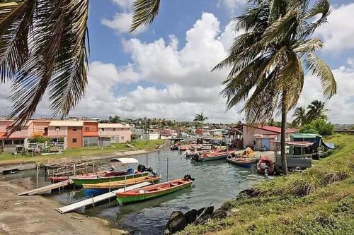 een groep boten is aangemeerd in een rivier bij Charmant appartement à Fort-de-France de 25 m² in Fort-de-France