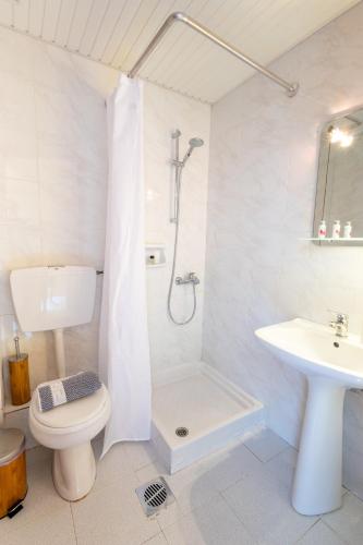 a bathroom with a shower and a toilet and a sink at Horizon Studios Afitos in Afitos