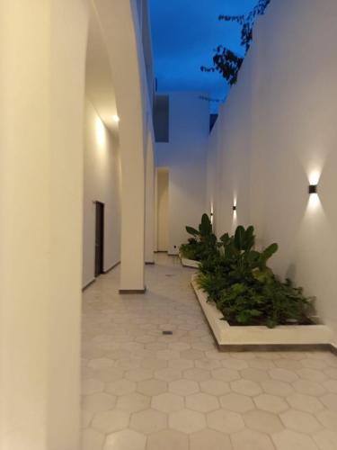 an empty hallway with plants in a building at Hotel Miranda Querétaro in Querétaro