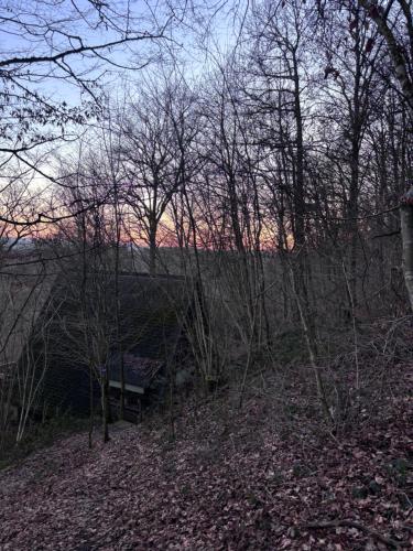 un banco sentado en la cima de una colina con árboles en The Forest Cabin Durbuy, en Durbuy