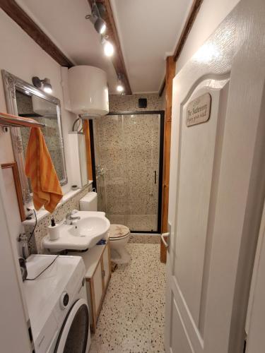 a bathroom with a sink and a toilet and a shower at 1918Apartman Šibenik centar,Poljana in Šibenik