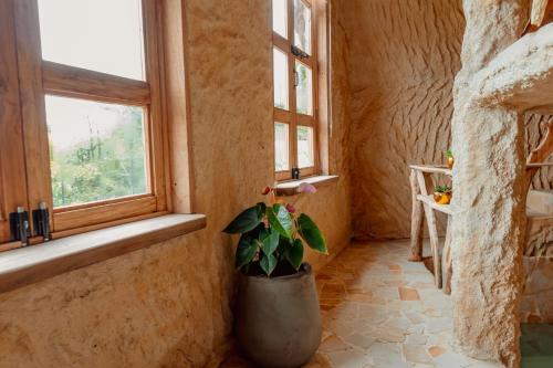 DosquebradasにあるHotel Pachamama Campestreのギャラリーの写真