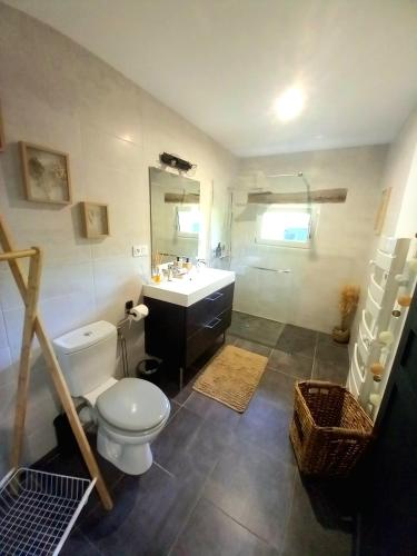 une salle de bain avec toilettes et lavabo dans l'établissement Gîte Abelia avec extérieur, à Lavaur