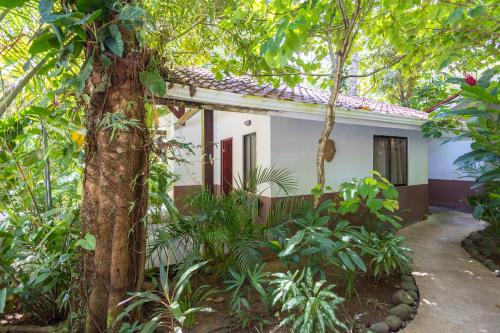 a house in the middle of a forest at Bambutel Cocles in Puerto Viejo