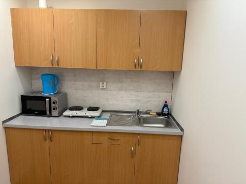 a kitchen counter with a sink and a microwave at Ubytovanie Stavbar in Štúrovo