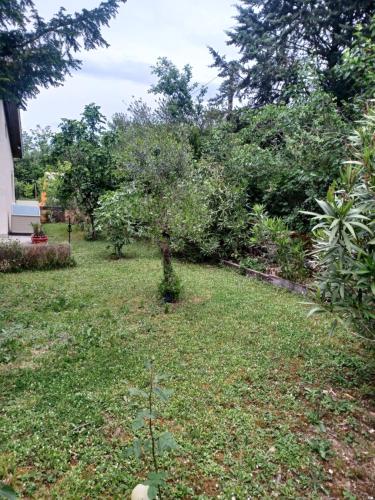 un jardin avec un pommier dans une cour dans l'établissement La madeleine 1, à Caussade