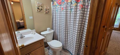 a bathroom with a toilet and a shower curtain at Our Heart's Desire- spacious 3 BR condo with hot tub in great location! in McHenry