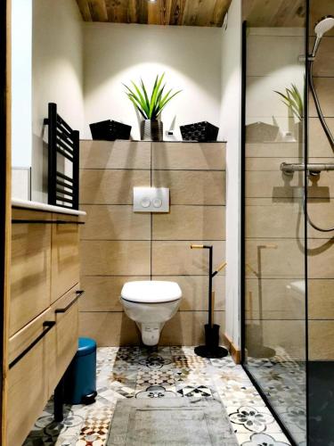une salle de bain avec toilettes, lavabo et douche dans l'établissement Résidence Eden Roc I - Très beau studio, rénové et pratique d'utilisation MAE-1303, aux Gets