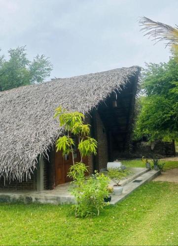 a straw roofed building with a door and plants at Hera Ceylon in Nilaveli