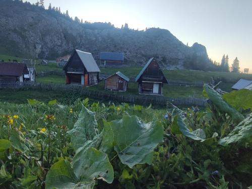 a group of houses in a field with plants at Etno katun Mokra 1 in Spaljevići