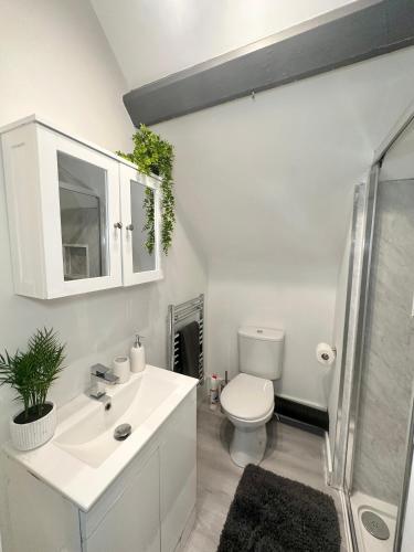 a white bathroom with a toilet and a sink at Fully Furnished Flat By Ankers Short Term Rental Stockport Perfect for Contractors in Stockport