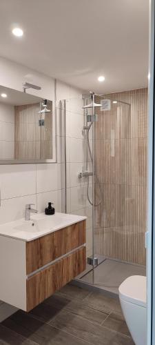 a bathroom with a sink and a shower at Schwarzwaldstübchen "Altas Montañas" mit Schwimmbad in Baiersbronn