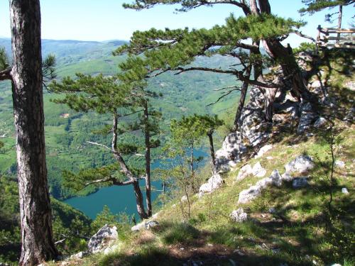 a view from the top of a mountain with trees at Šumska vila in Šljivovica