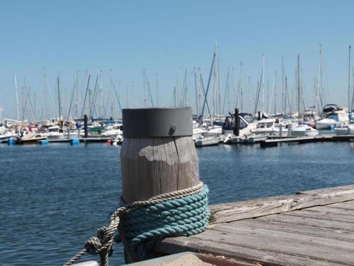 a rope tied to a dock with boats in a marina at Charmante Wohnung mit Terrasse in Steffenshagen in Steffenshagen
