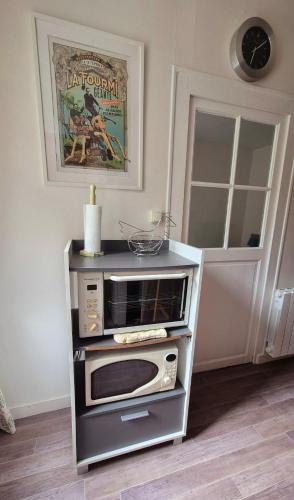 un four à micro-ondes sur un support dans une cuisine dans l'établissement Naoned Station, à Nantes