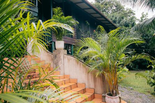 a garden with palm trees and a brick wall at Casa de Mono Bocas in Big Creek