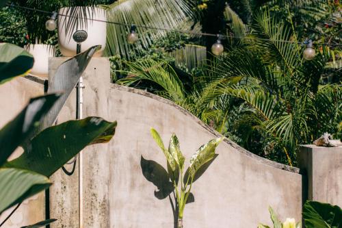 a garden with plants and lights on a wall at Casa de Mono Bocas in Big Creek