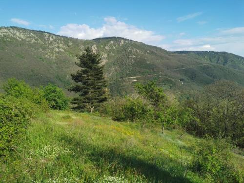 Φυσικό τοπίο κοντά σε αυτή η παραθεριστική κατοικία