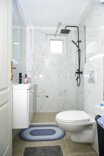 a white bathroom with a toilet and a shower at Ćato s cottage in Bravnice