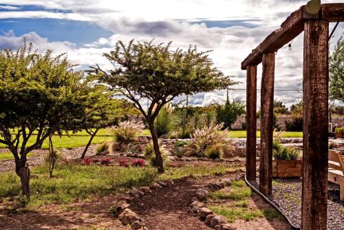 a garden with a bench and trees and plants at Maka Haui Glamping in San Miguel de Allende