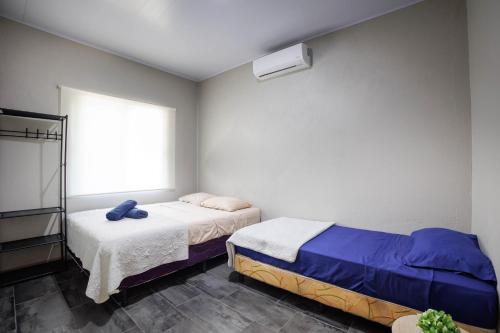 a bedroom with two beds and a window at Bambutel Cocles in Puerto Viejo