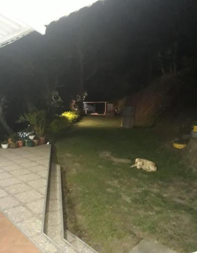 Κήπος έξω από το Finca Villa Sol
