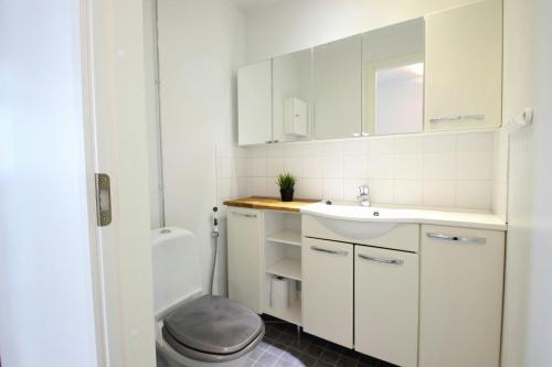 Koupelna v ubytování Central and Spacious Apartment for 6 with Sauna