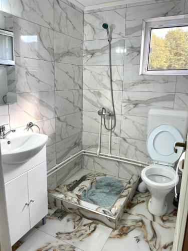 a bathroom with a shower and a sink and a toilet at Cabana Vladimir in Cucuceni