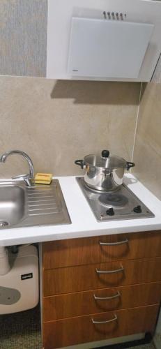 a kitchen counter with a pot on a stove at Pink House in Rīga
