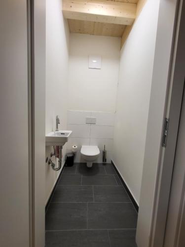 a bathroom with a toilet and a sink at Urlaubsspaß am Nassfeld Ski-Wandern-Mountainbiken Hermagor in Hermagor