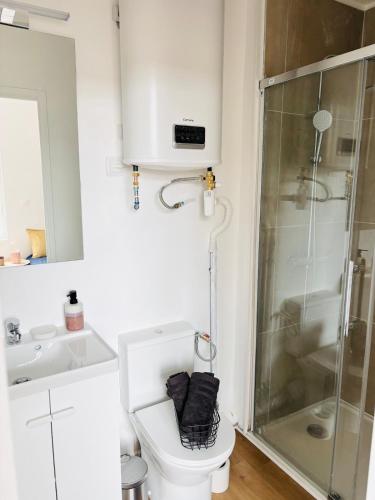 a bathroom with a toilet and a glass shower at Le 32 - Studio rénové - Centre in Coudekerque-Branche