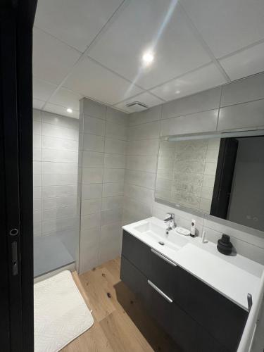 une salle de bain blanche avec un lavabo et un miroir dans l'établissement Apparemment neuf centre ville, à Brives-Charensac