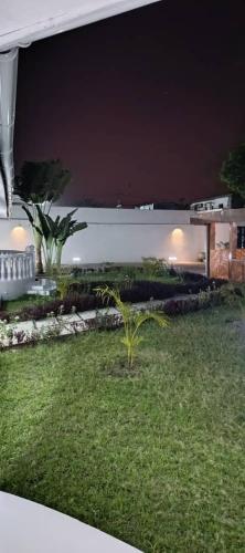 a yard with a plant in the grass at night at Villa Eden in Pointe-Noire