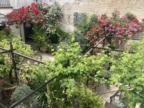 Le Cloitre des Augustins 5 stars Spa & Fitness photo 132