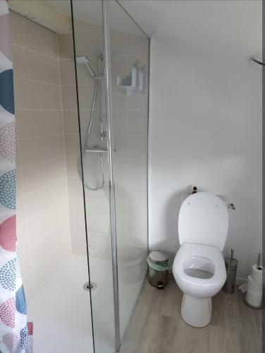 une salle de bain avec toilettes et douche en verre dans l'établissement Appartement proche Bordeaux, à Cenon