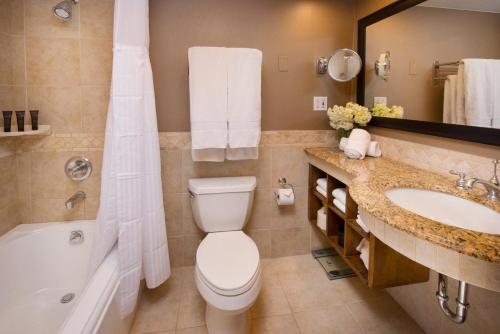 a bathroom with a toilet and a sink and a tub at Lodge at Vail, A RockResort in Vail
