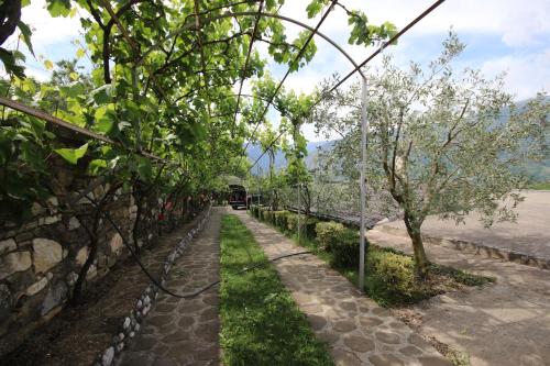 a path next to a stone wall with trees at Guest House Mehmeti in Tolar
