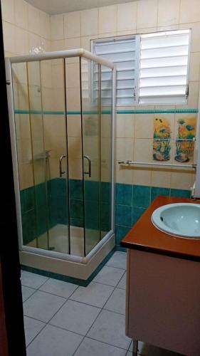 a bathroom with a shower and a sink at Spacieux bas de villa in Les Abymes