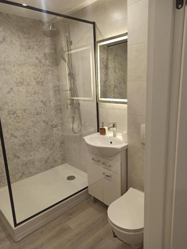 une salle de bain avec une douche, des toilettes et un lavabo dans l'établissement Apartamenty CENTRUM MIASTA Tomaszowa Mazowieckiego Quick Check-in Szybkie zameldowanie, à Tomaszów Mazowiecki