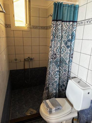 a bathroom with a toilet and a shower at Daisy Maisonette in Póros Kefalonias