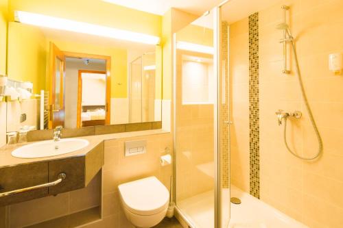 a bathroom with a shower and a toilet and a sink at Altes Forsthaus Braunlage in Braunlage