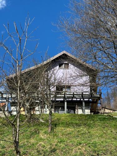 a building on a hill with trees in front of it at Villa Sandra in Rude