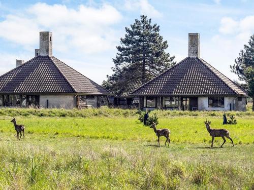 a group of deer standing in a field in front of a building at Holiday home Karrebæksminde LIII in Karrebæksminde