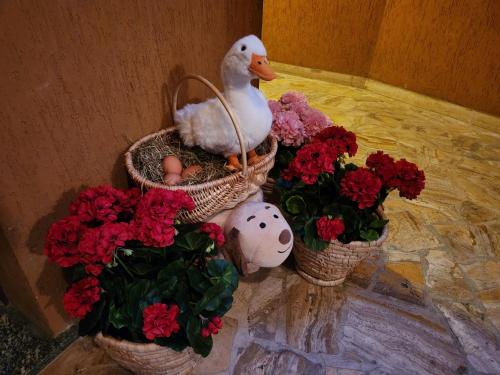 a duck sitting inront of three baskets of flowers at Sophia Apartment Triora in Triora