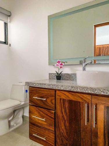 a bathroom with a sink and a toilet and a mirror at Beautiful Celeste Condominium in La Paz