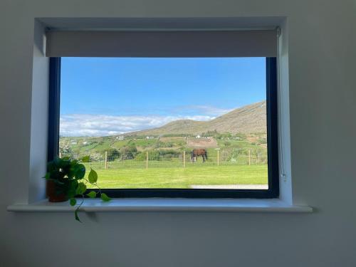 a window with a view of a field and a horse at Rolling Hills in Westport