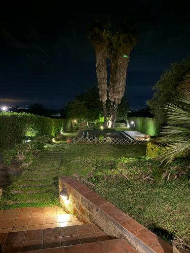 a garden at night with lights on the grass at Mamma Arancia in Pedagaggi