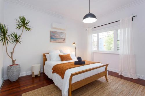 a white bedroom with a bed and a potted plant at Scarborough Coastal Escape in Perth